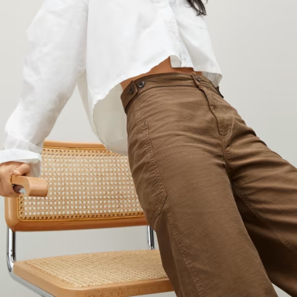 Everlane Fatigue Barrel Pants